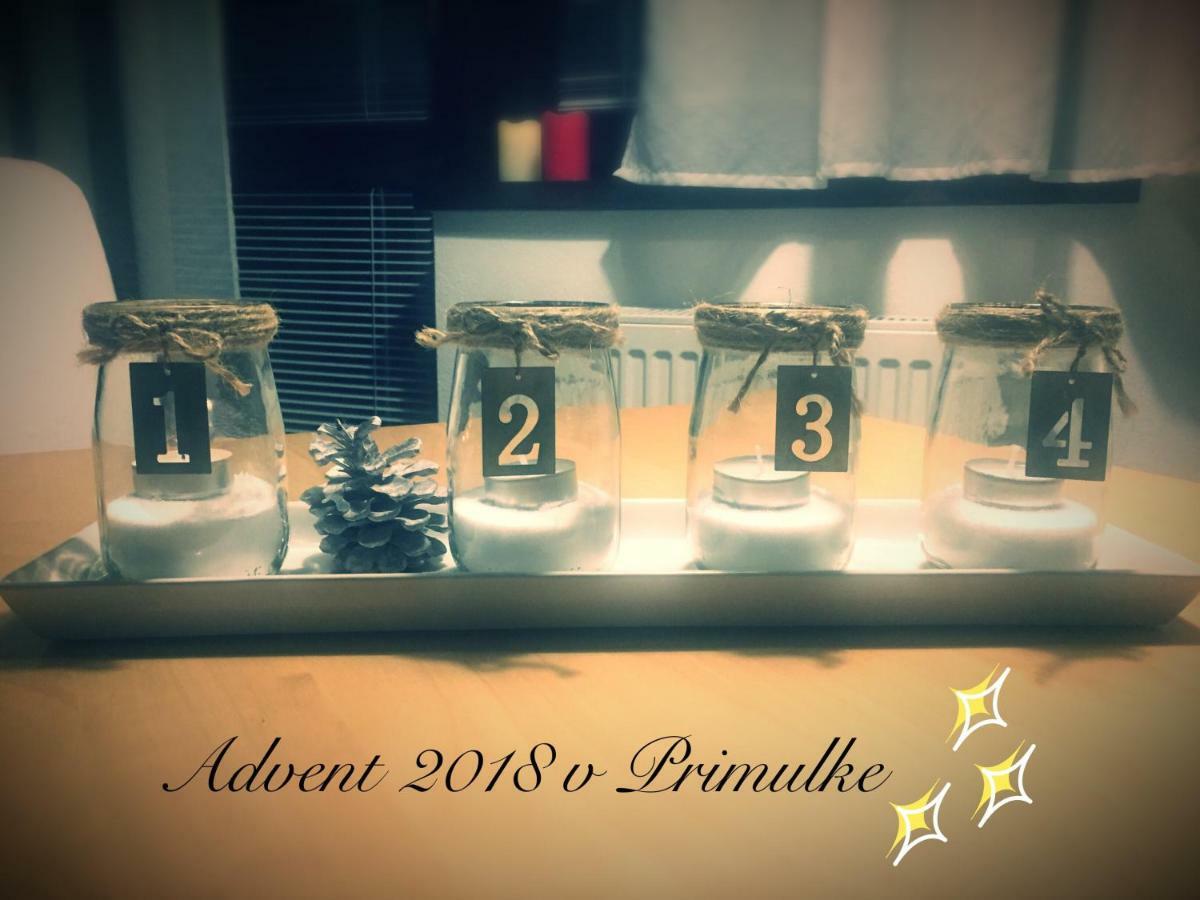 Primulka 公寓